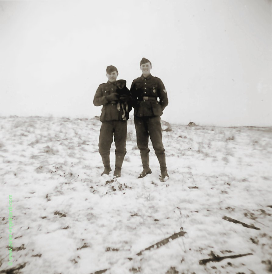 Ostfront im Dezember 1943