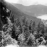 Hohenschwangau 1940