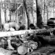 verpflegungsbomben-der-luftwaffe-am-wolchow--april-mai-42