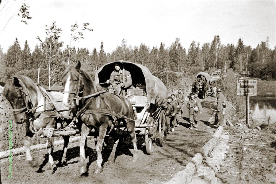 Knüppeldamm an einer Pionierbrücke über die Tigoda. Rückmarsch vom Wolchow im Aug. 1942