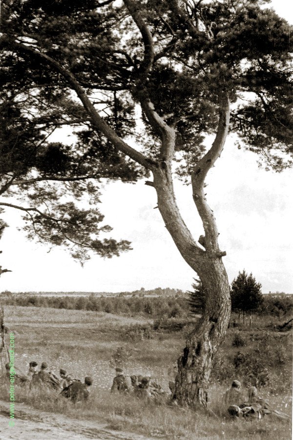 Rast bei Lawolosstje, Marsch von Wolchow nach Ljuban Aug. 1942