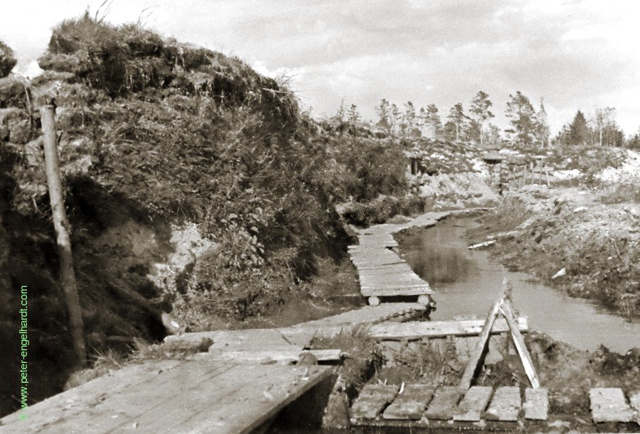 Stellung vor Kolpino Aug. 1942