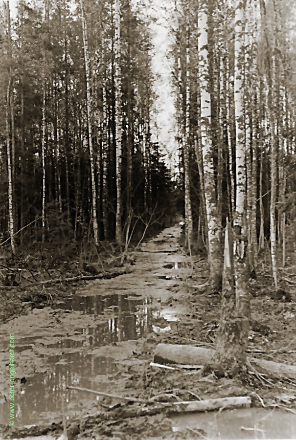 Verbindungsweg am Wolchow Mai 1942