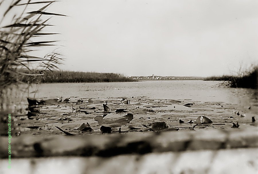 Ein See im Baltikum