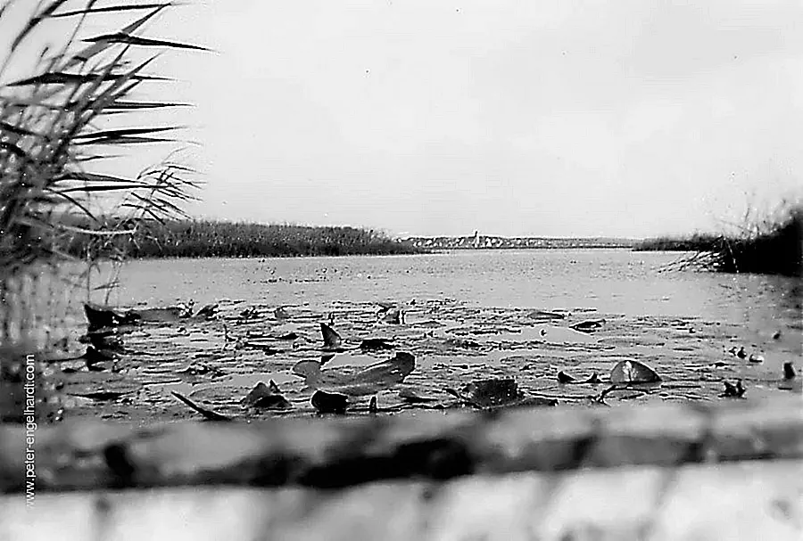 Blick von einem Sturmboot auf einen Baltischen See mit Ortschaft am Ufer, undatiert wohl 1942.